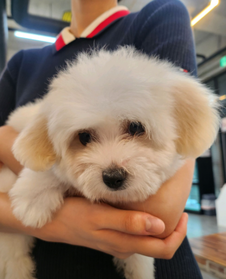 네이버리뷰_상세페이지_1