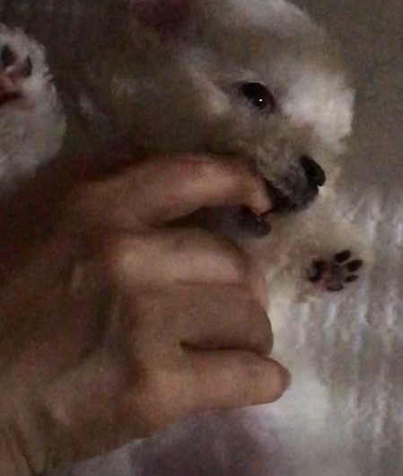 네이버리뷰_상세페이지_1