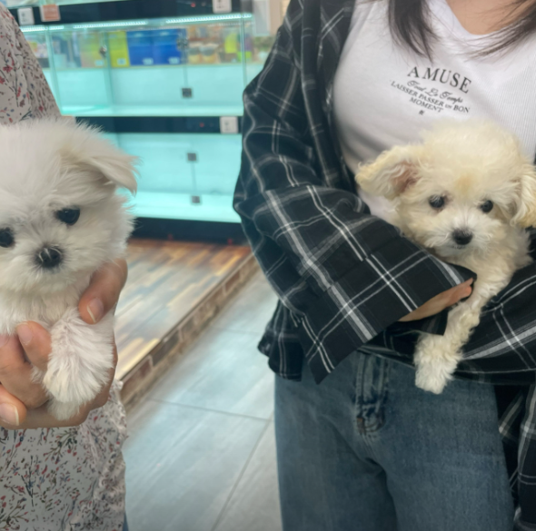 네이버리뷰_상세페이지_1