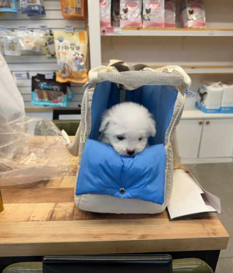 네이버리뷰_상세페이지_1