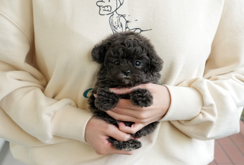 KakaoTalk_20260901_175137983.png