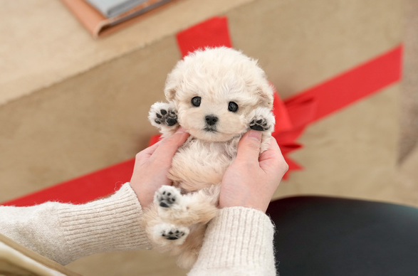 KakaoTalk_20260901_180357732.png