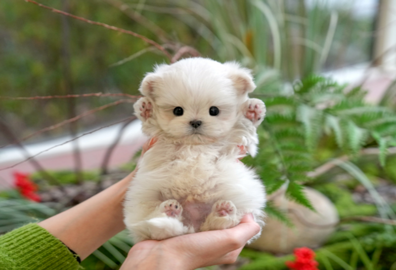 KakaoTalk_20260902_160846687.png