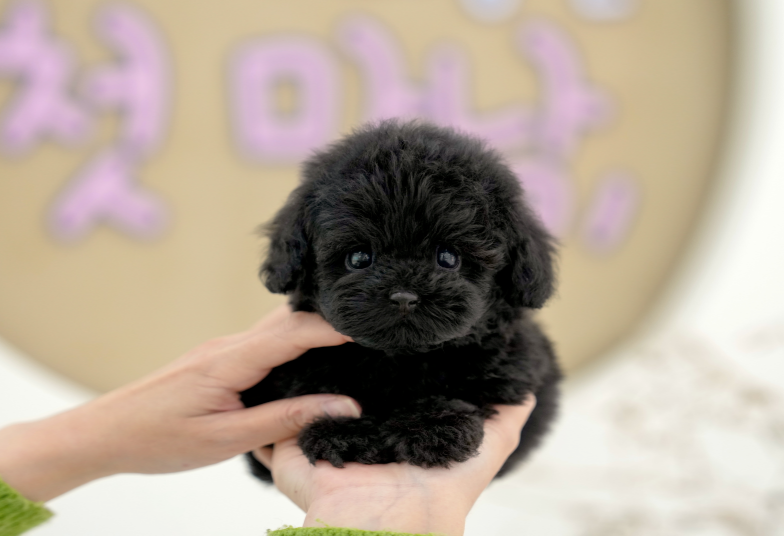 KakaoTalk_20260901_172650057.png