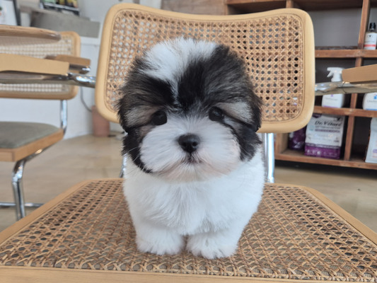 KakaoTalk_20250416_134321676.jpg