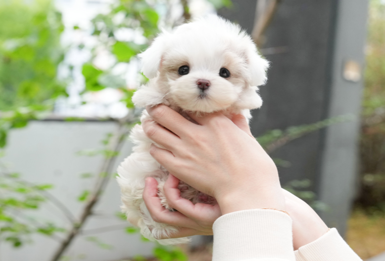 KakaoTalk_20260906_152312118.png