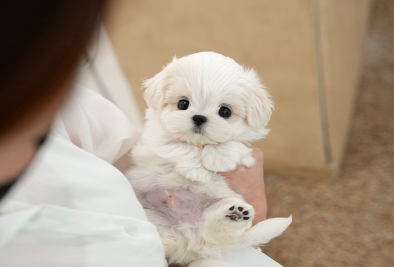 KakaoTalk_20260906_145025579.png