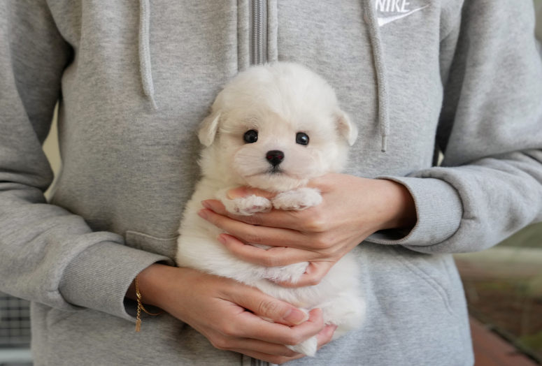 KakaoTalk_20261010_143727694.png