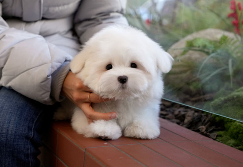 KakaoTalk_20261012_140008849.png