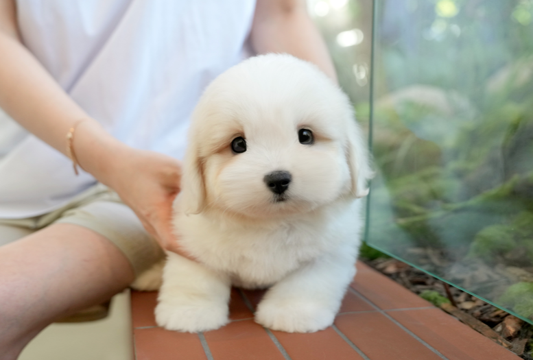 KakaoTalk_20261012_124813007.png