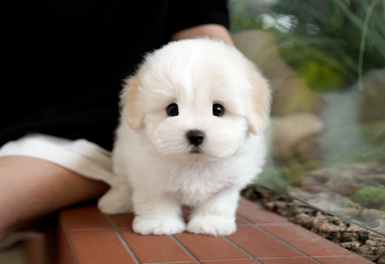 KakaoTalk_20261011_145903037.png