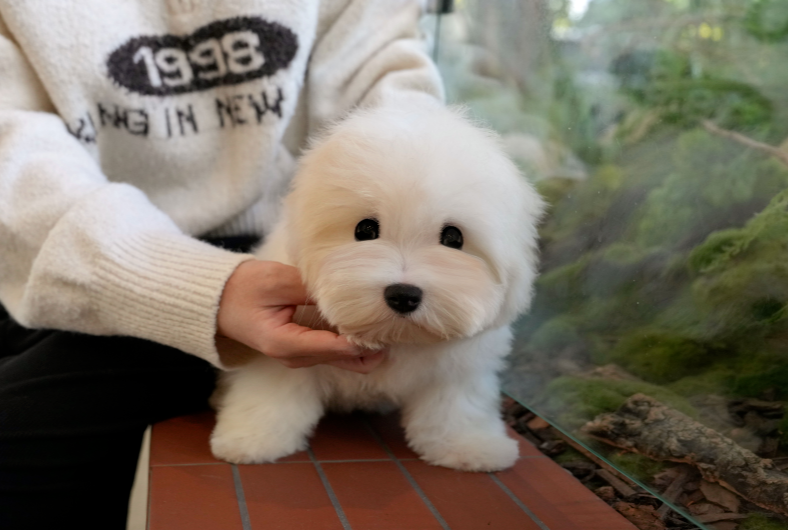 KakaoTalk_20261012_142858137.png