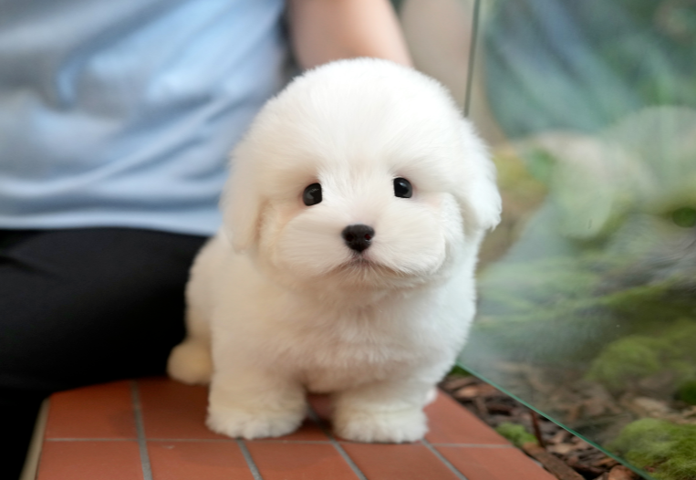 KakaoTalk_20261012_133933201.png