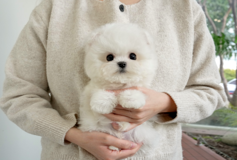 KakaoTalk_20260927_150402200.png