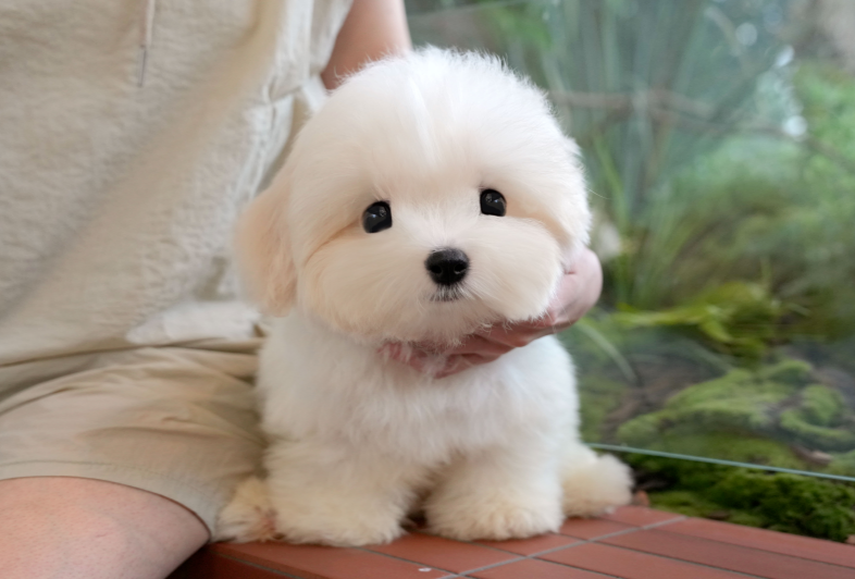 KakaoTalk_20261012_185117982.png