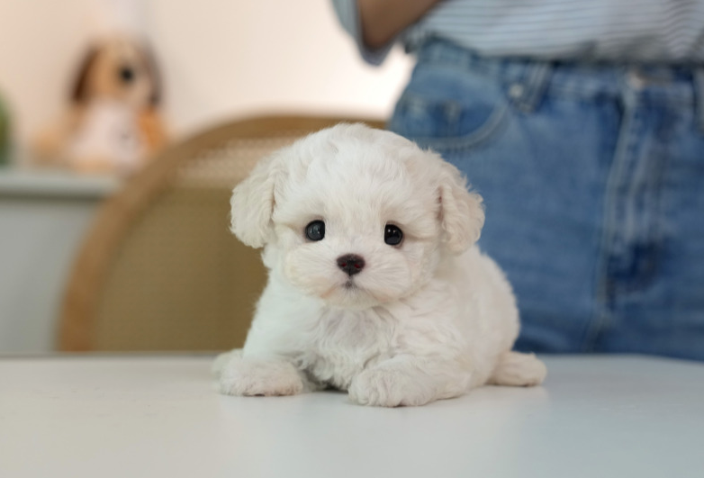 KakaoTalk_20260928_151623528.png
