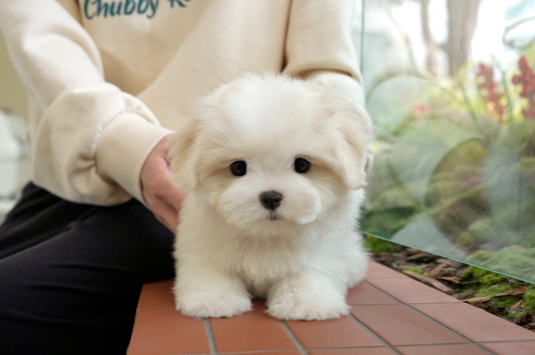 KakaoTalk_20261011_143523284.png