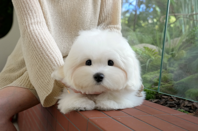 KakaoTalk_20261011_145329286.png