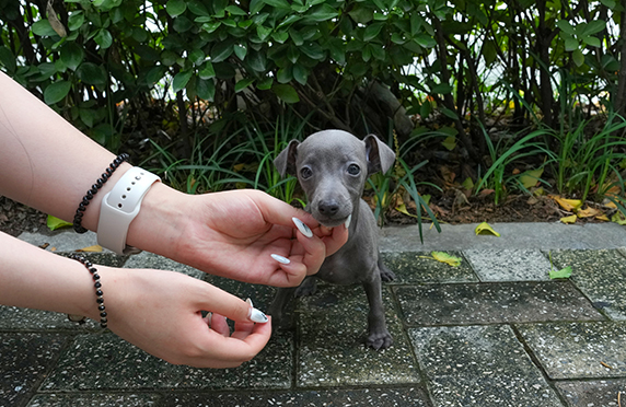 KakaoTalk_20261013_165637823.png