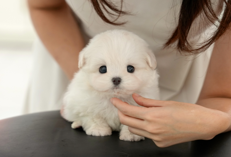 KakaoTalk_20260908_161535395.png