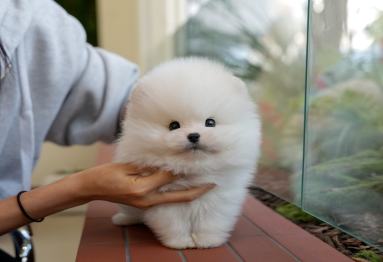 KakaoTalk_20260916_182102441.png