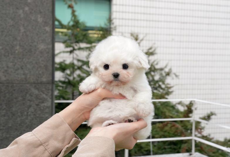 KakaoTalk_20260928_154930165.png