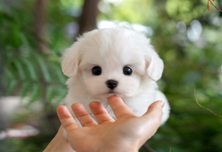 KakaoTalk_20260906_154446490.png