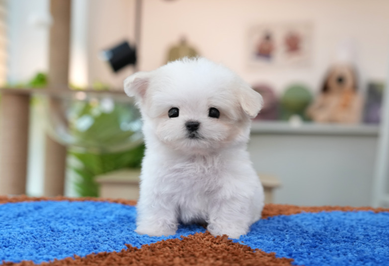 KakaoTalk_20260907_152705328.png