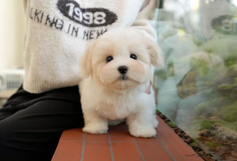 KakaoTalk_20261012_142227362.png