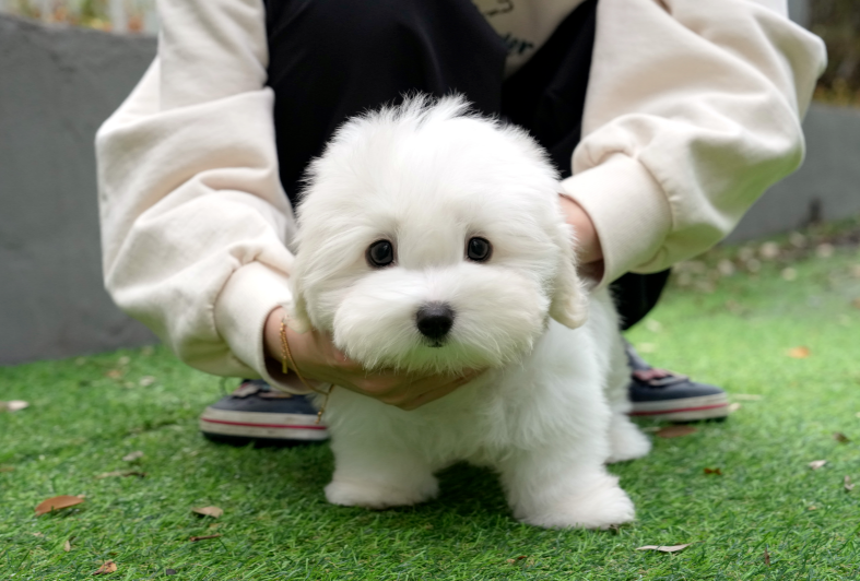 KakaoTalk_20261012_121207631.png