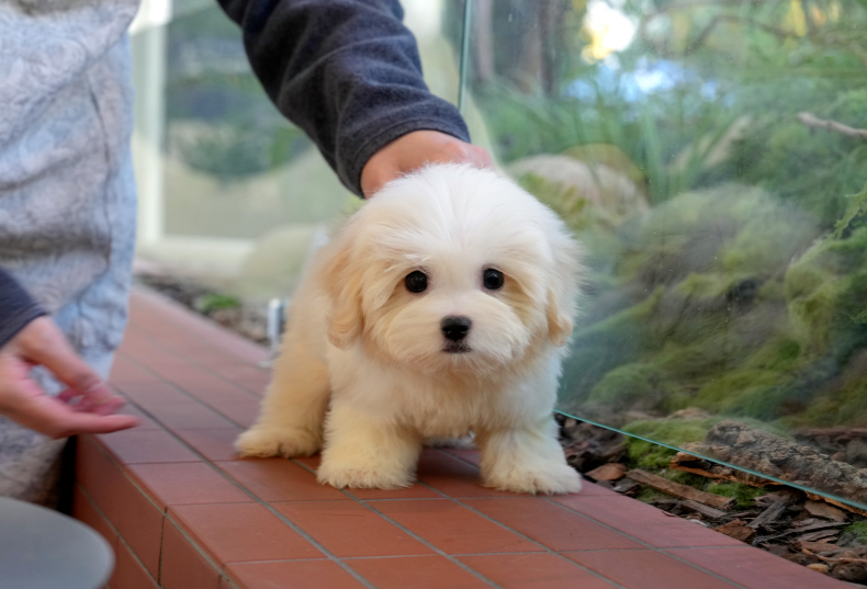 KakaoTalk_20261012_141557695.png