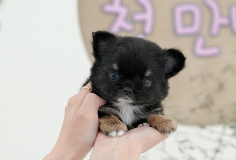 KakaoTalk_20261013_153046437.png