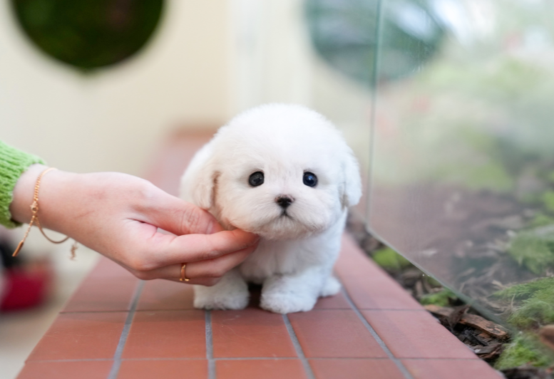 KakaoTalk_20261007_163818202.png