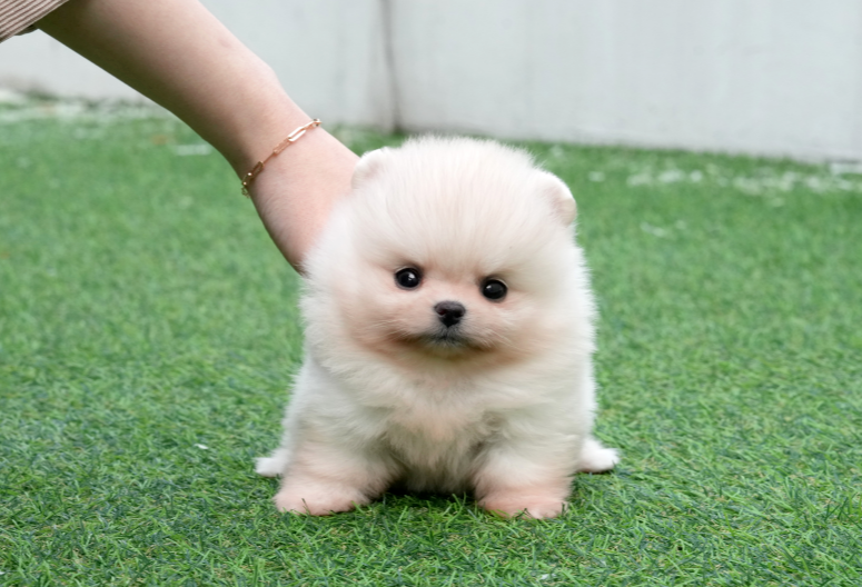 KakaoTalk_20260918_143703849.png
