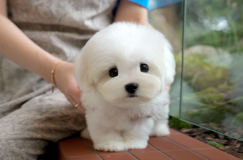 KakaoTalk_20261012_184841258.png