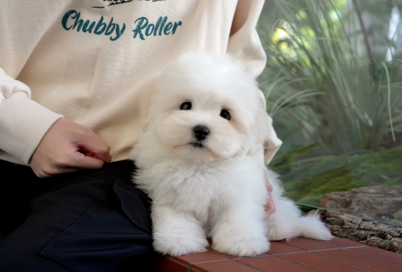 KakaoTalk_20261012_184424535.png
