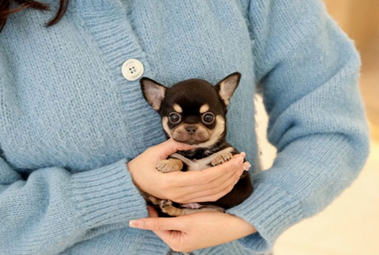 KakaoTalk_20261013_153739801.png