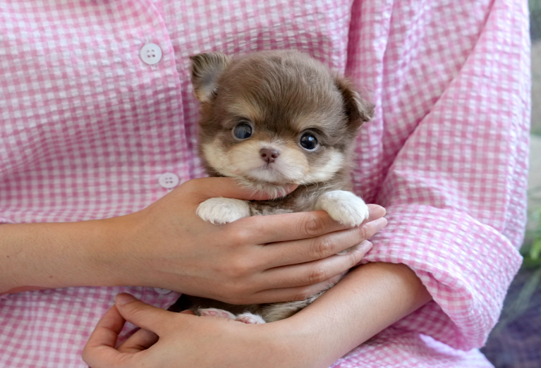 KakaoTalk_20261013_124744527.png