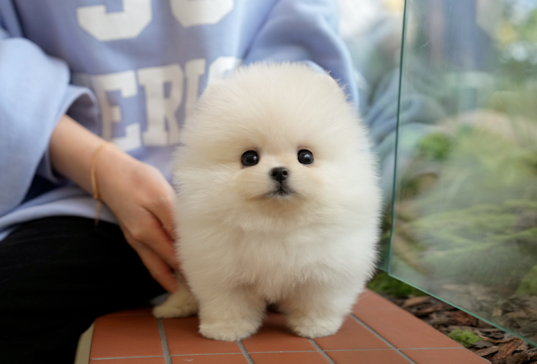 KakaoTalk_20260920_120946973.png