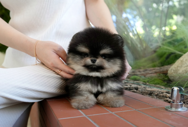 KakaoTalk_20260927_142142604.png