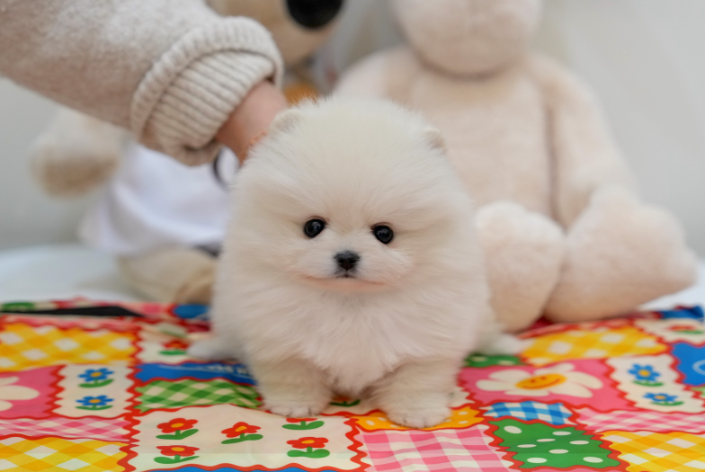 KakaoTalk_20260919_152415760.png