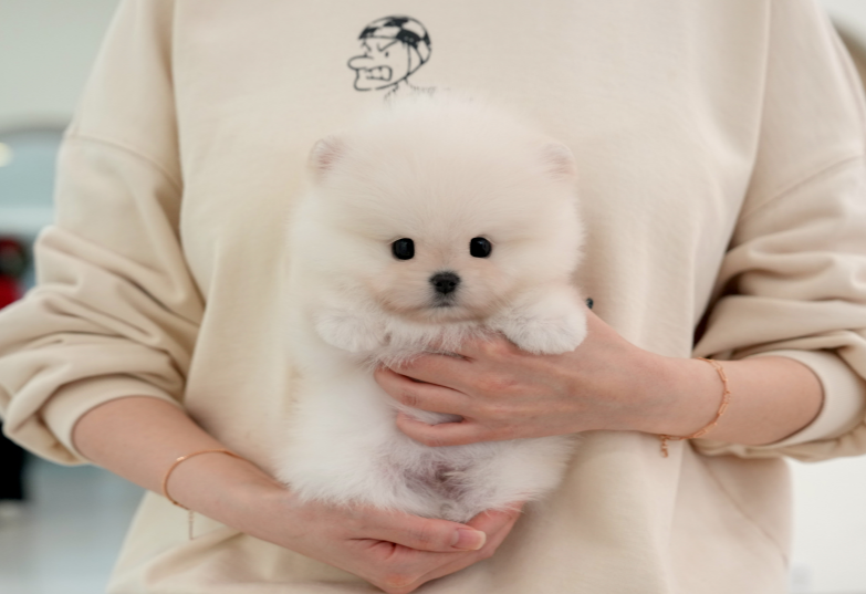 KakaoTalk_20260918_111717112.png