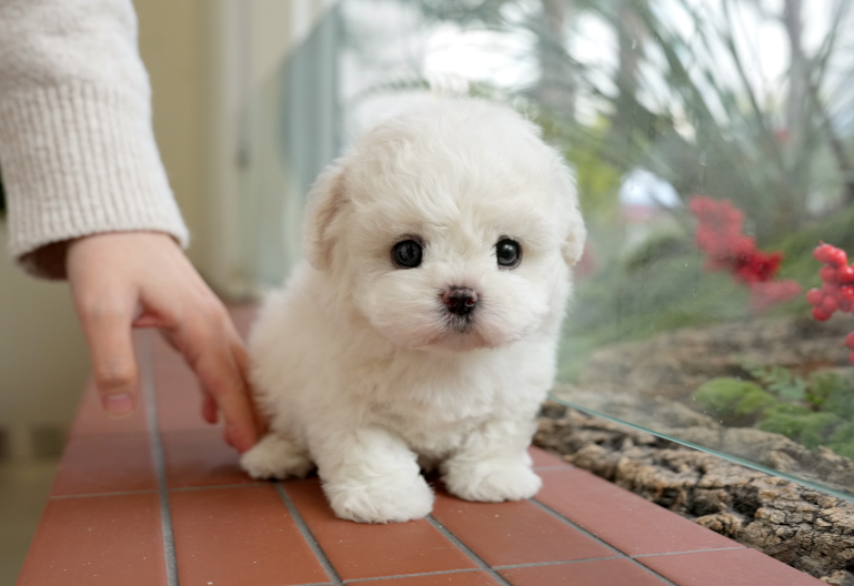 KakaoTalk_20260928_151755218.png