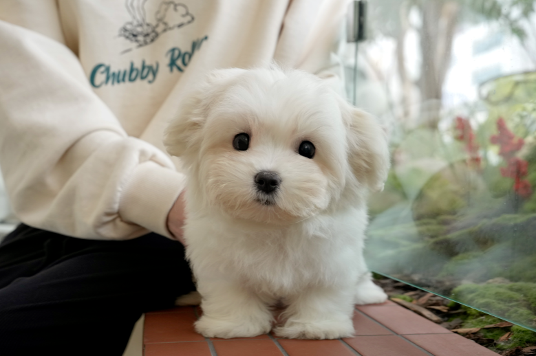 KakaoTalk_20261012_135621587.png