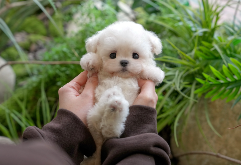 KakaoTalk_20260927_145736152.png