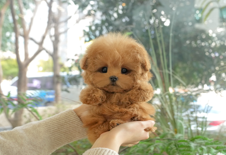 KakaoTalk_20260911_174431064.png