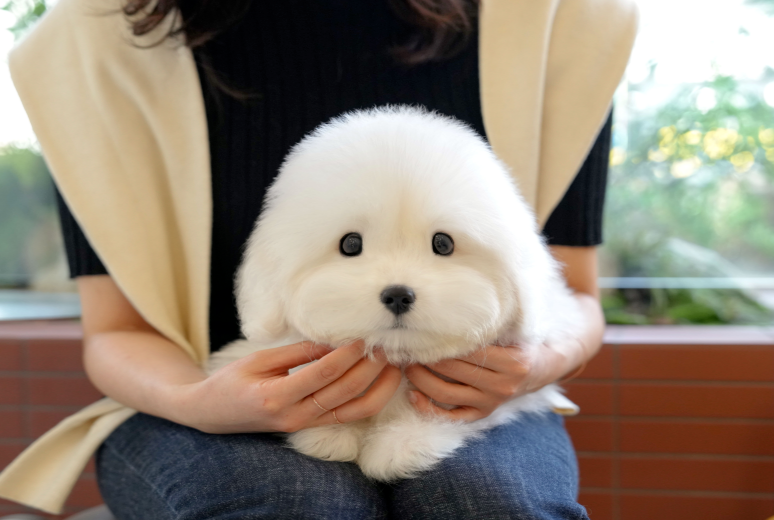 KakaoTalk_20261011_152217036.png