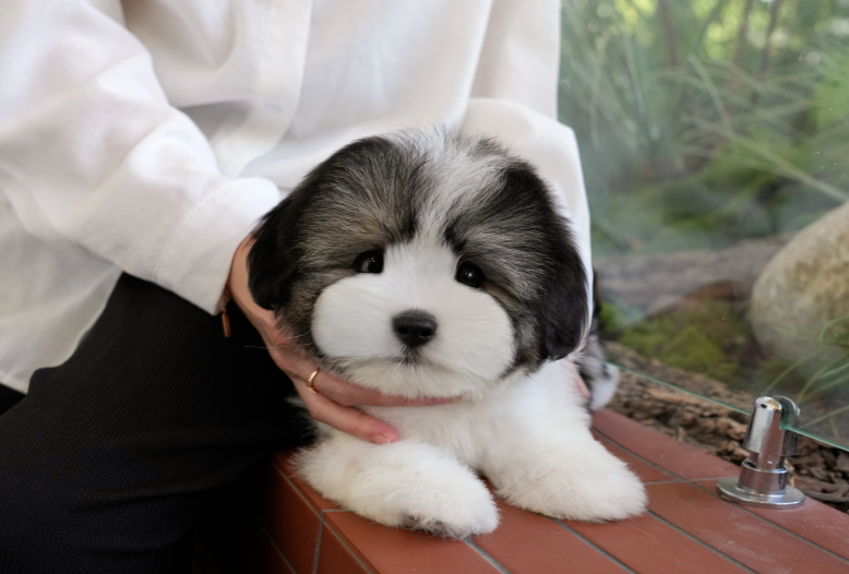 KakaoTalk_20261012_120552016.png
