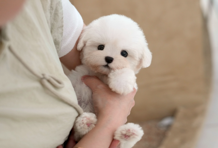 KakaoTalk_20260911_164227918.png