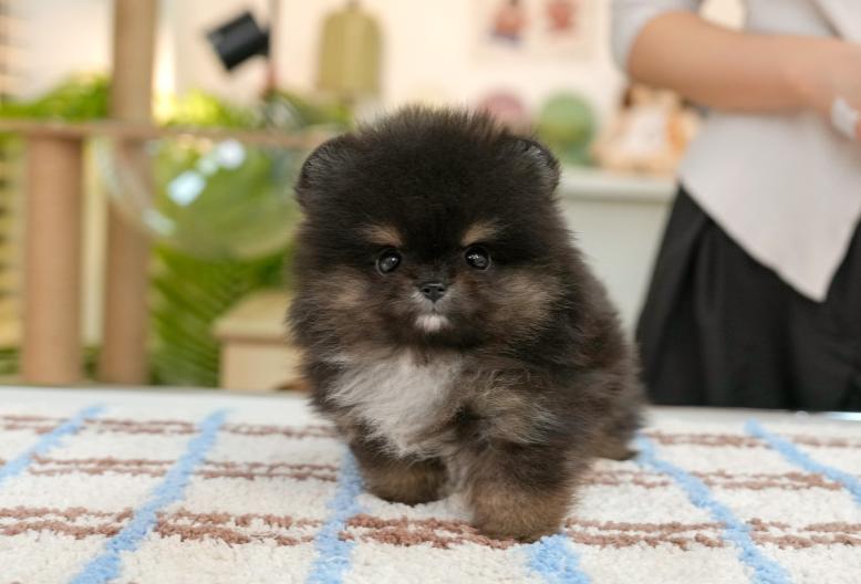 KakaoTalk_20260916_182352646.png